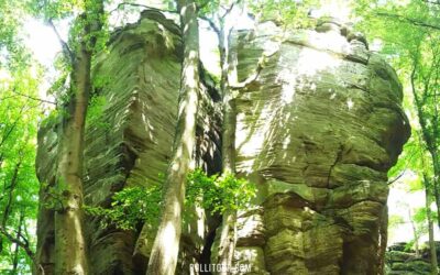 Müllerthal – Berdorf: Wandern mit Kind in Luxemburg