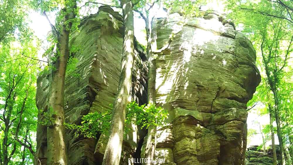 Müllerthal – Berdorf: Wandern mit Kind in Luxemburg