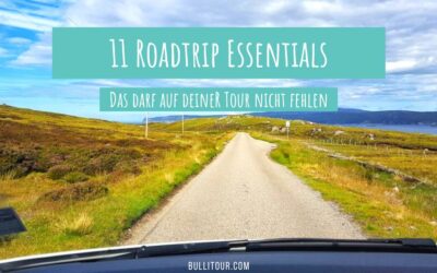 11 unverzichtbare Roadtrip-Begleiter