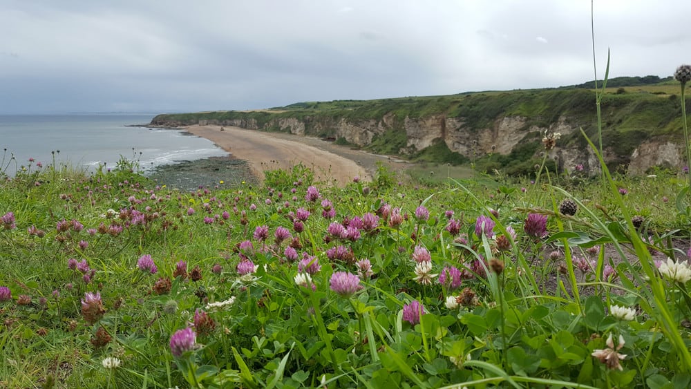 Auf dem Weg nach Schottland – Stellplatz und Route durch England