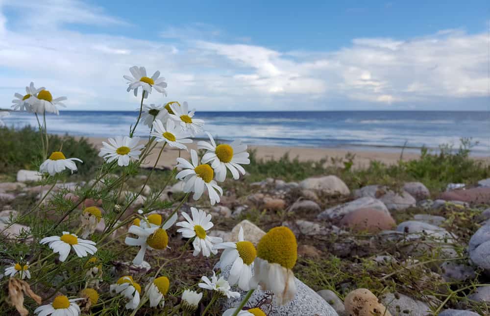 Roadtrip durch Schottland - Golspie mit Dunrobin Castle