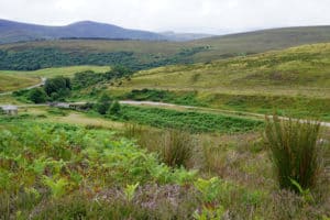 Goldwaschen in Schottland Highlands - Kildonan Burn