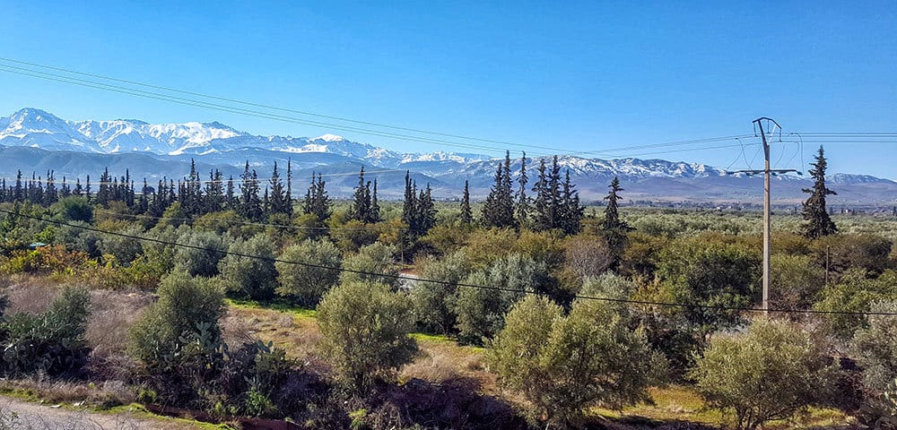 Tagestour von Marrakesch - auf dem Weg ins Atlasgebirge