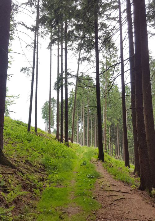 Wandern bergisches Land