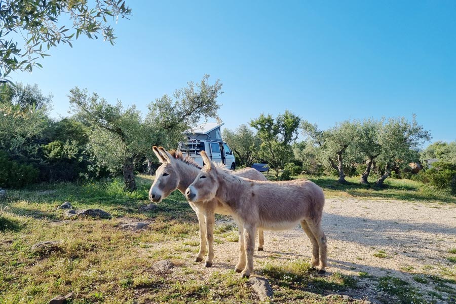 Campingplatz Tipp Sardinien