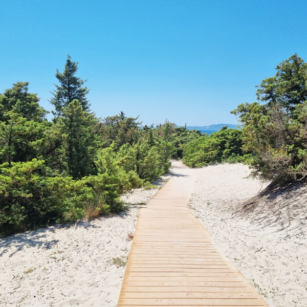 Sardinien Strand im Süden - Tipps für Camper-Rundreise