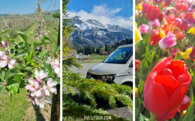 6 Reiseziele mit Wohnmobil im Frühling