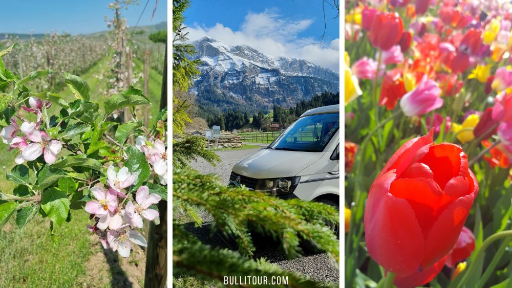 6 Reiseziele mit Wohnmobil im Frühling